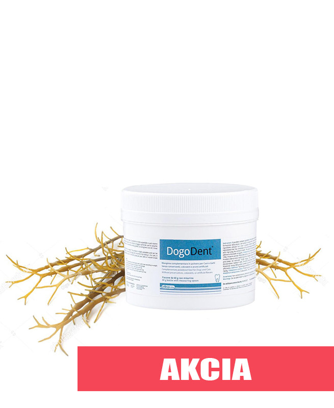 1750097944DogoDent.jpg